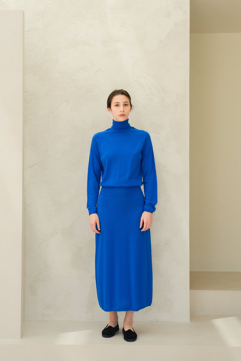 Extra Fine Merino Turtleneck Dress-2