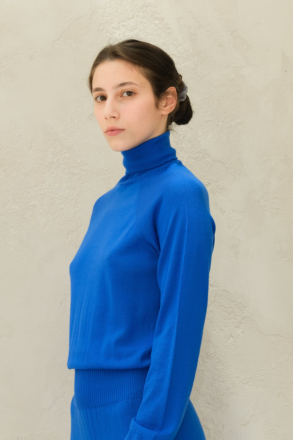 Extra Fine Merino Turtleneck Dress-4