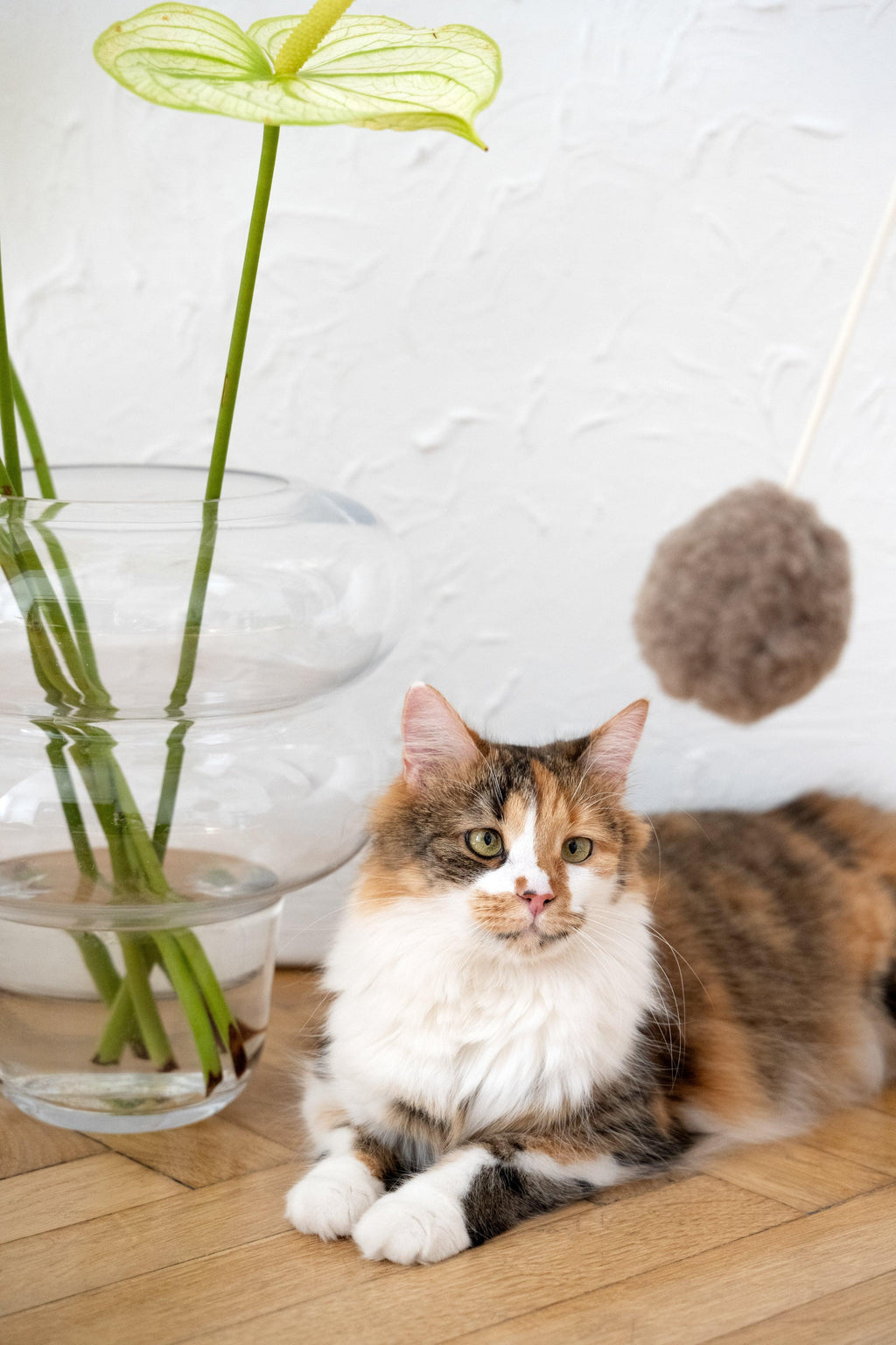 Natural Sheepskin Cat Toy: Ball-4