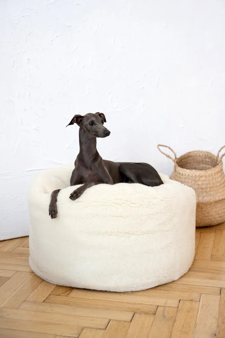 Oval Natural Wool Pet Bed - White-3