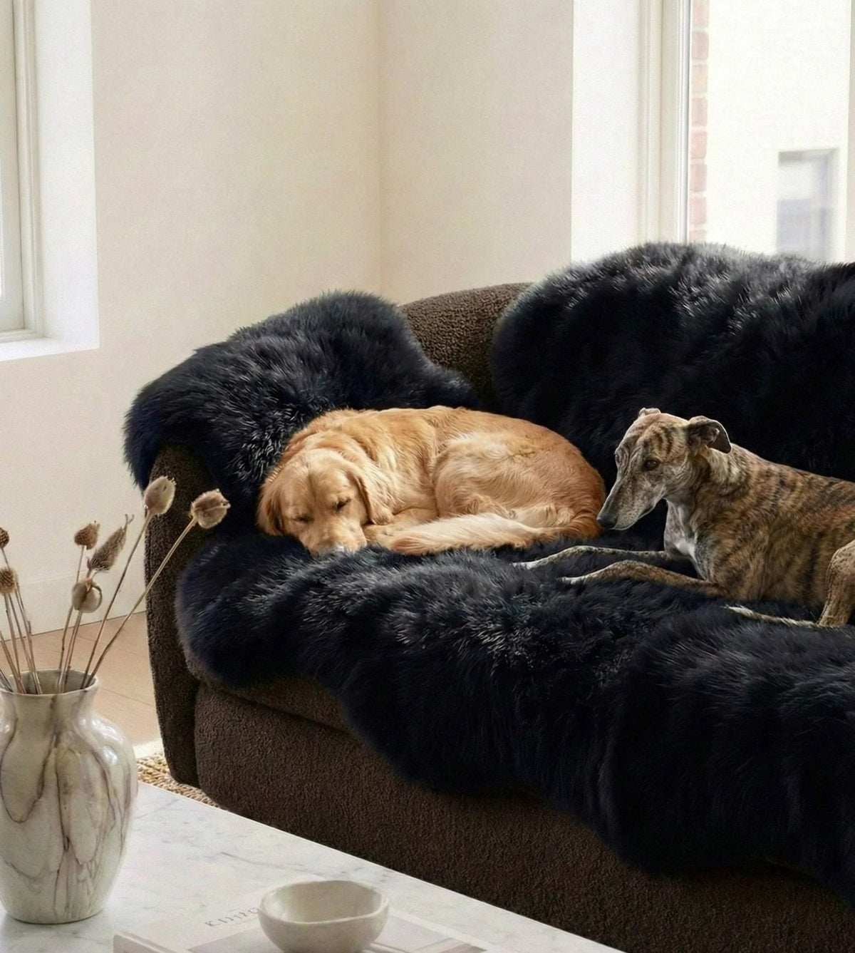 Genuine Black Sheepskin Couch Cover for Dogs — Natural Sofa Protector (Plastic-Free) - Mio NEGOZIO 🌹💐MellowConceptStoreMellowConceptStore