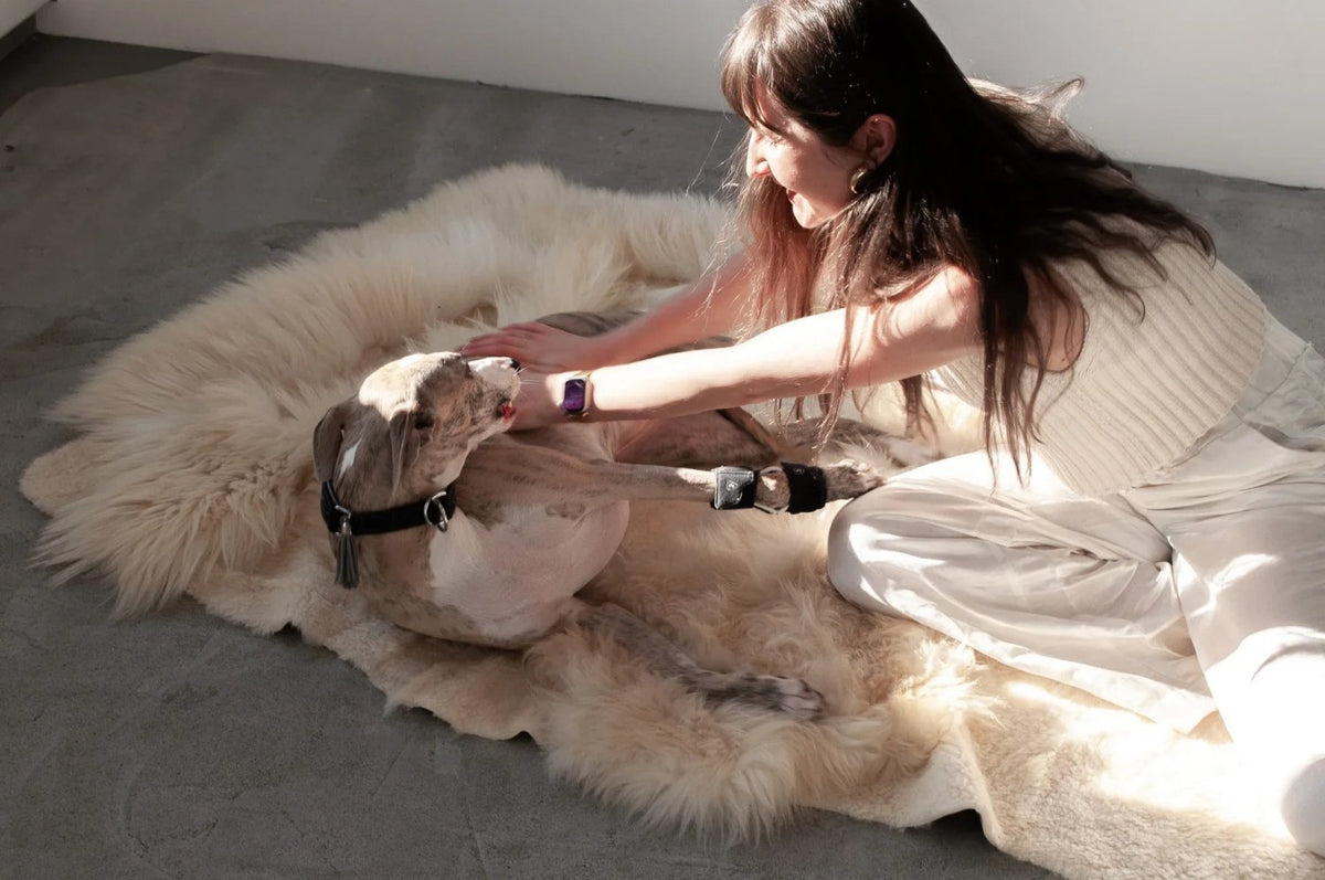 Natural Sheepskin Ivory Carpet - Irregular - Mio NEGOZIO 🌹💐MellowConceptStoreMellowConceptStore