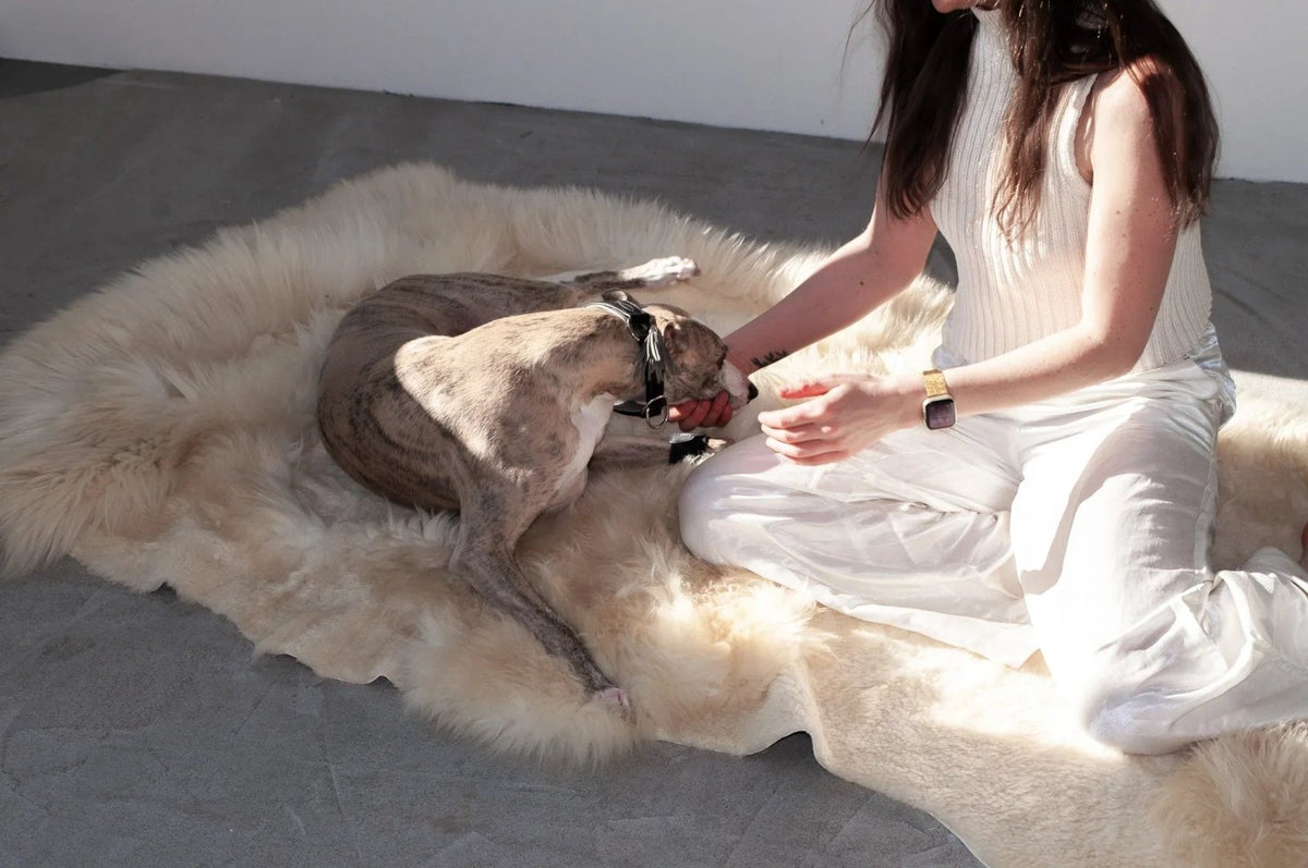 Natural Sheepskin Ivory Carpet - Irregular - Mio NEGOZIO 🌹💐MellowConceptStoreMellowConceptStore