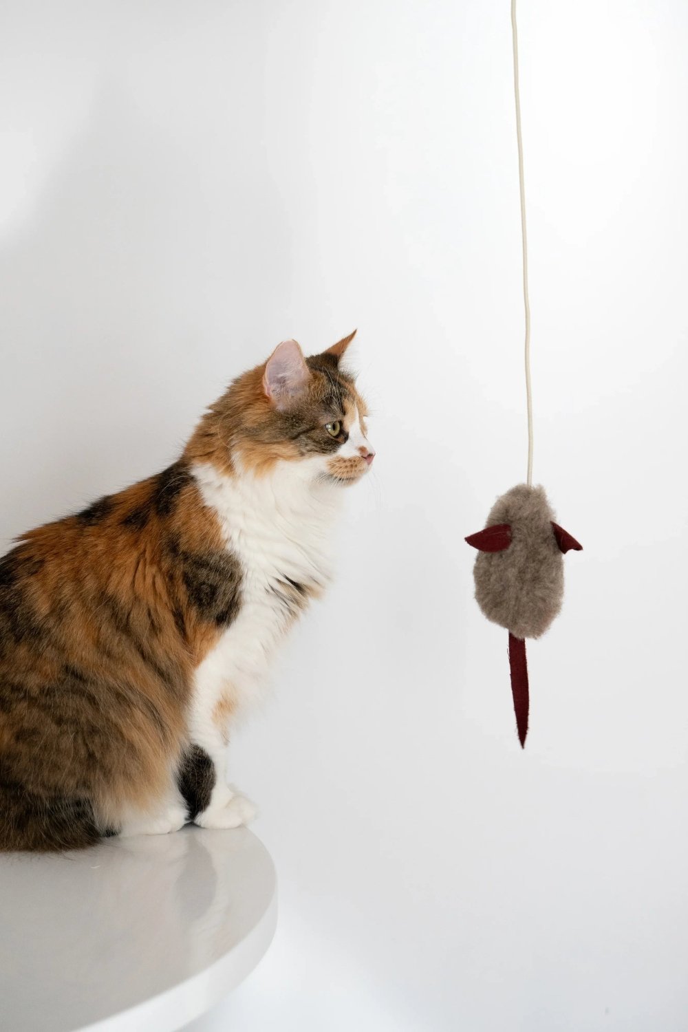 Natural Woolen Cat Toy: Mouse - Mio NEGOZIO 🌹💐Mellow Pet StoreMellow Pet Store