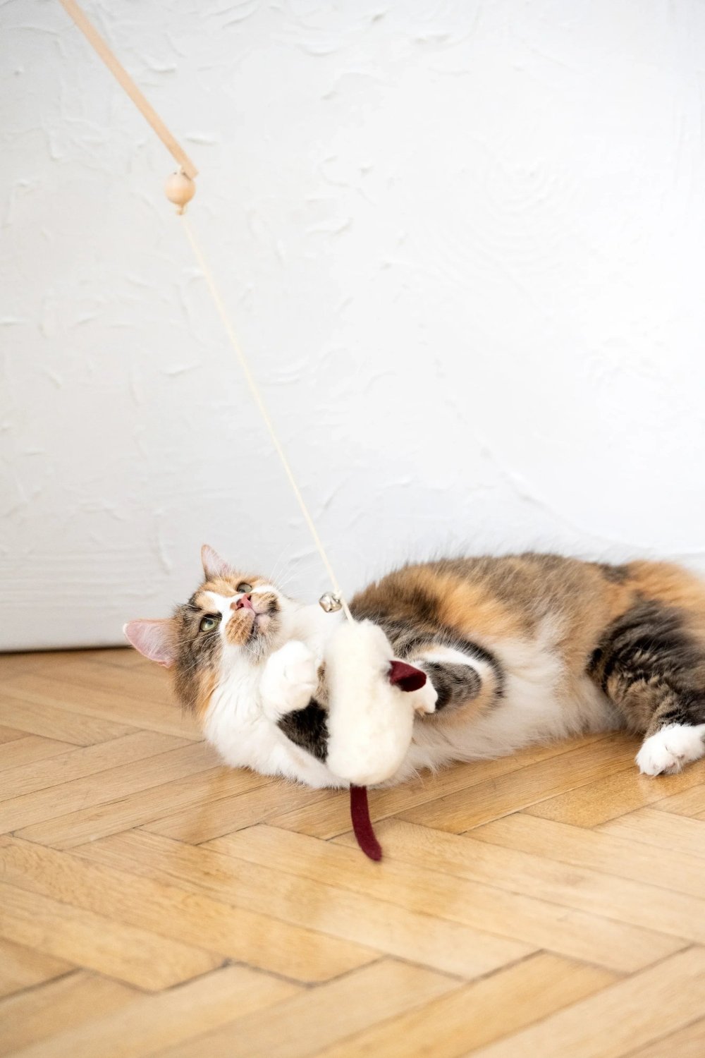 Natural Woolen Cat Toy: Mouse - Mio NEGOZIO 🌹💐Mellow Pet StoreMellow Pet Store