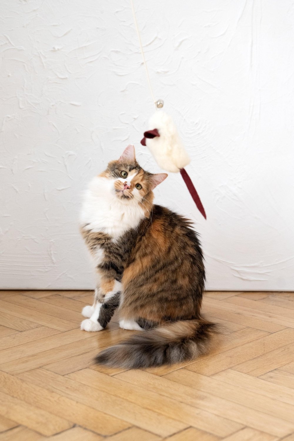 Natural Woolen Cat Toy: Mouse - Mio NEGOZIO 🌹💐Mellow Pet StoreMellow Pet Store