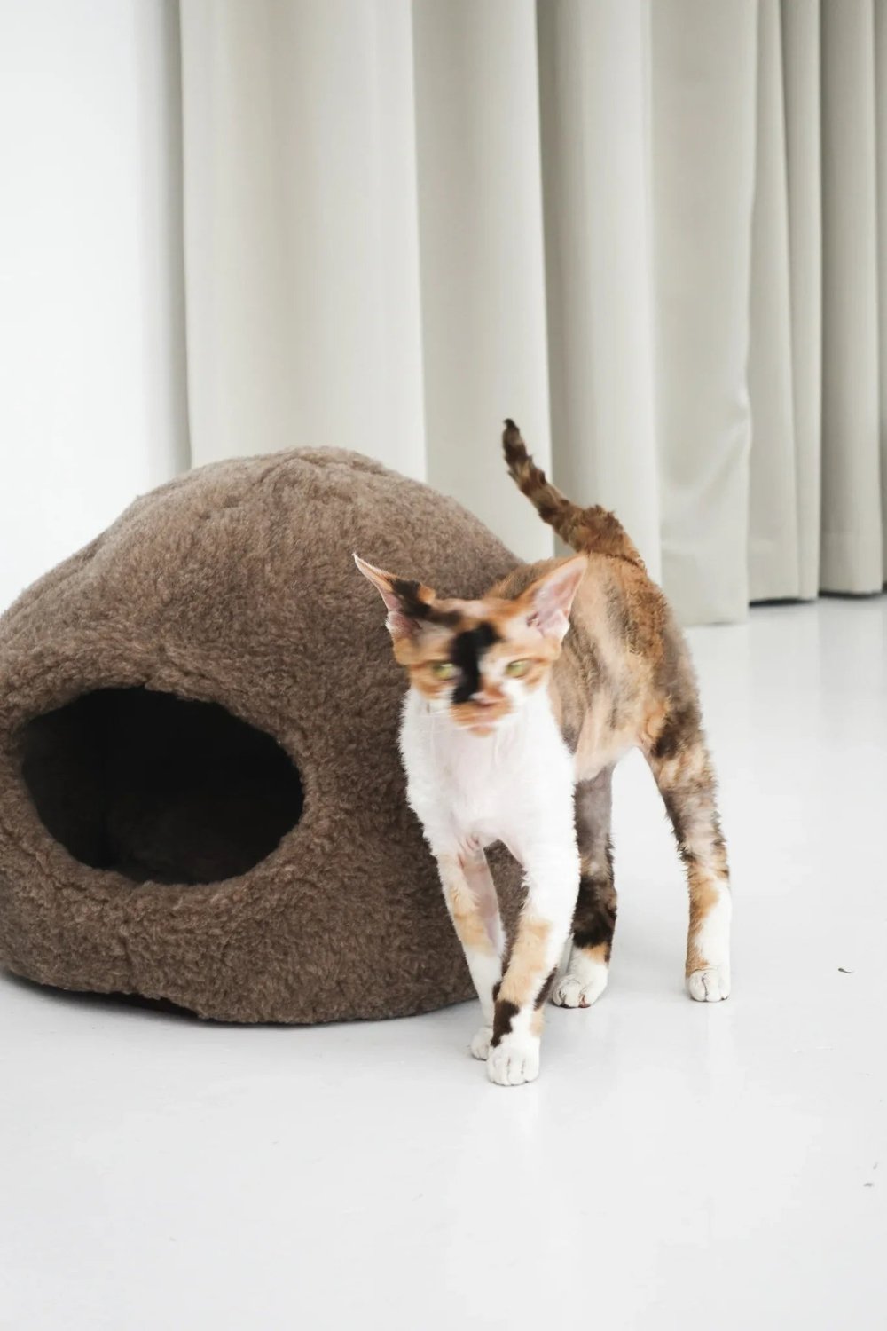 Nest Natural Sheepskin Pet Bed - Beige - Mio NEGOZIO 🌹💐MellowConceptStoreMellowConceptStore