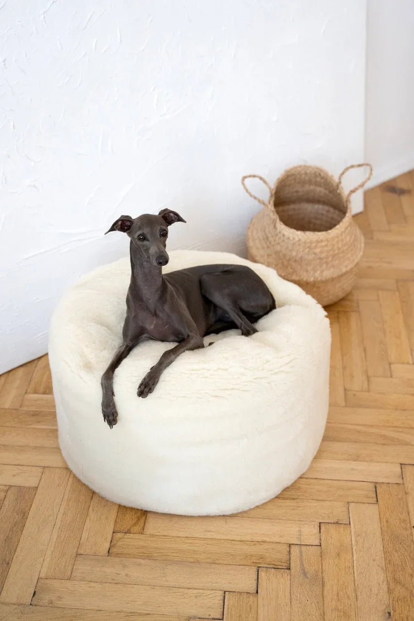 Oval Natural Wool Pet Bed - White - Mio NEGOZIO 🌹💐Mellow Pet StoreMellow Pet Store