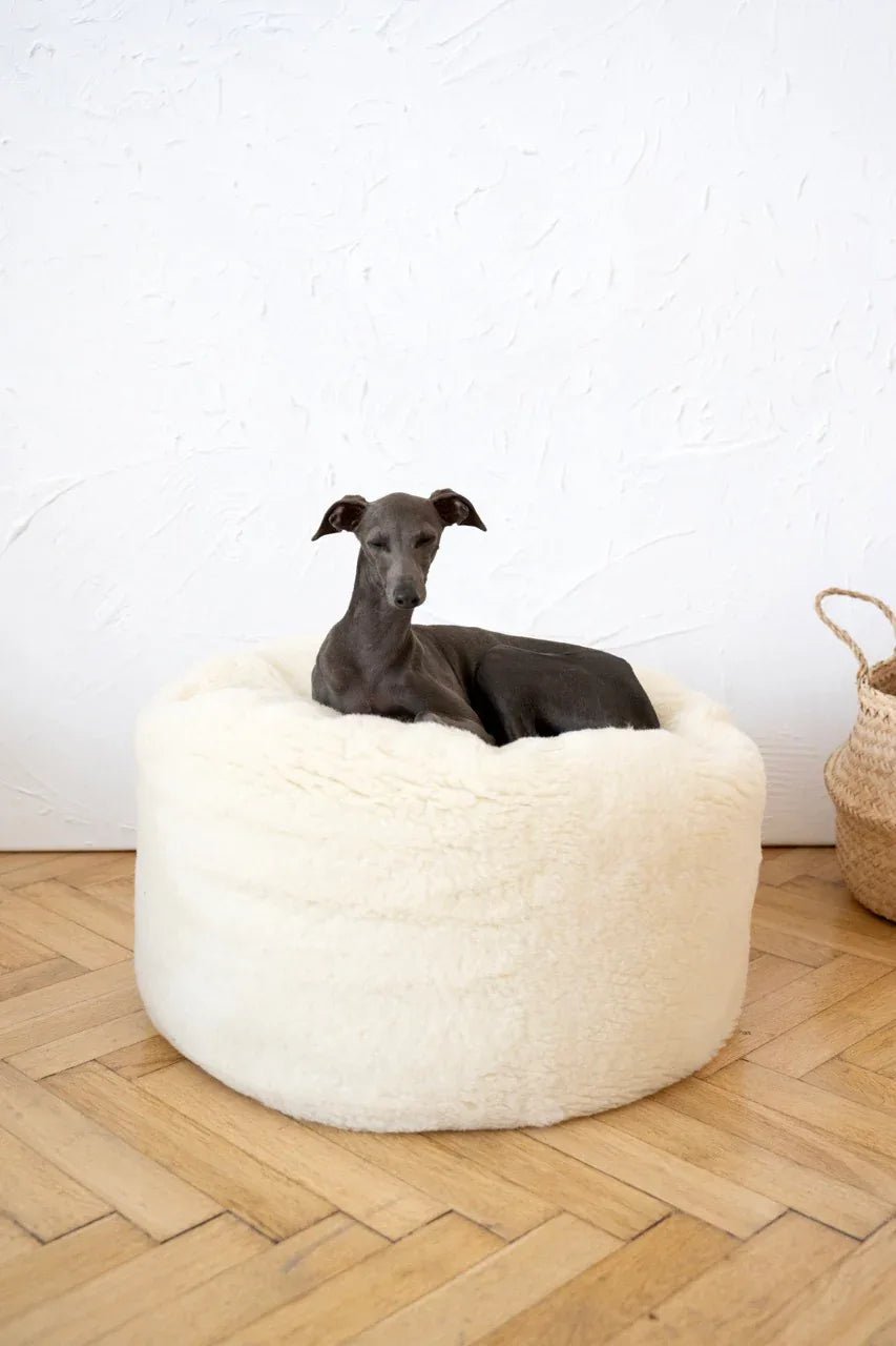 Oval Natural Wool Pet Bed - White - Mio NEGOZIO 🌹💐Mellow Pet StoreMellow Pet Store