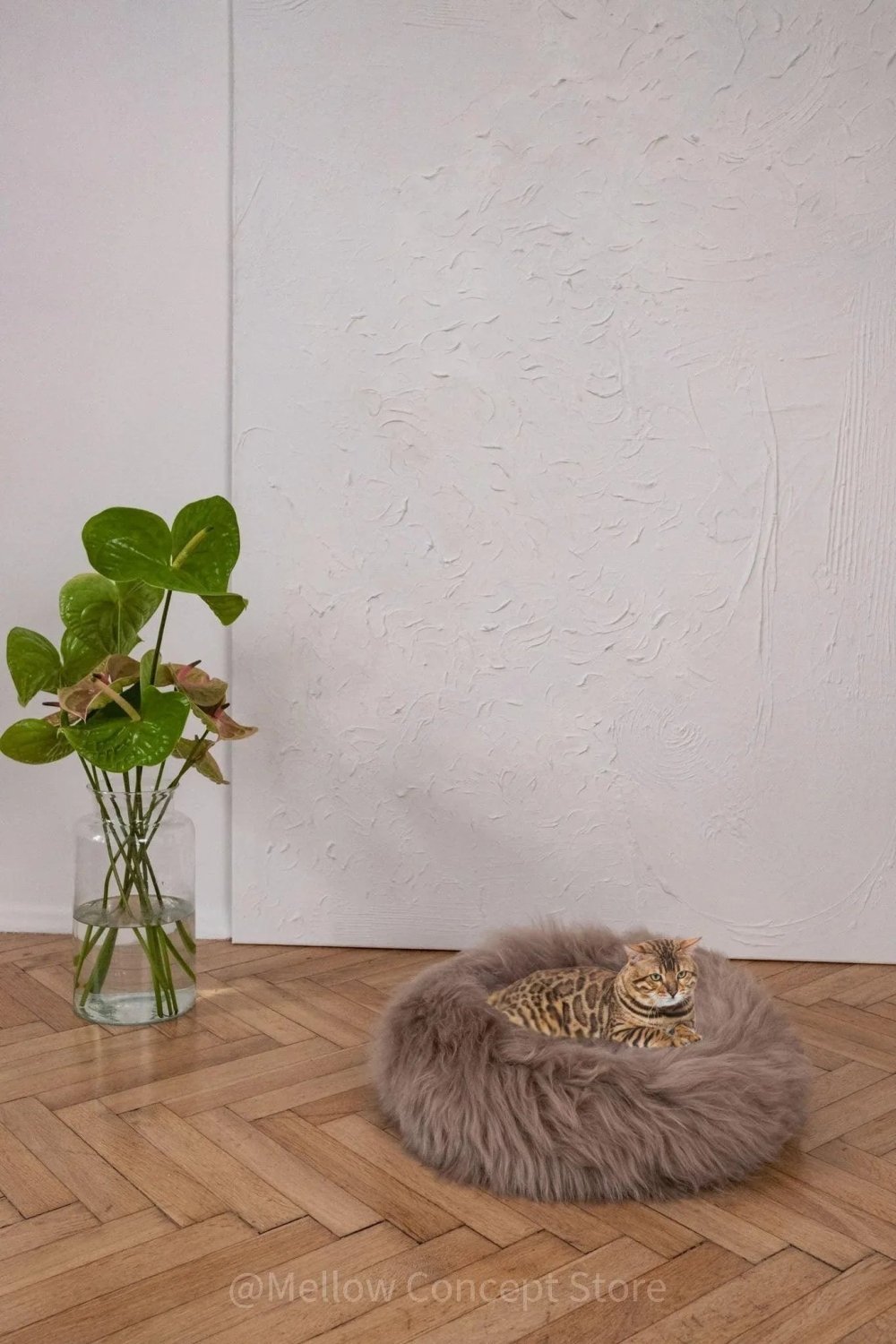 Round Natural Sheepskin Pet Bed - Greige - Mio NEGOZIO 🌹💐Mellow Pet StoreMellow Pet Store