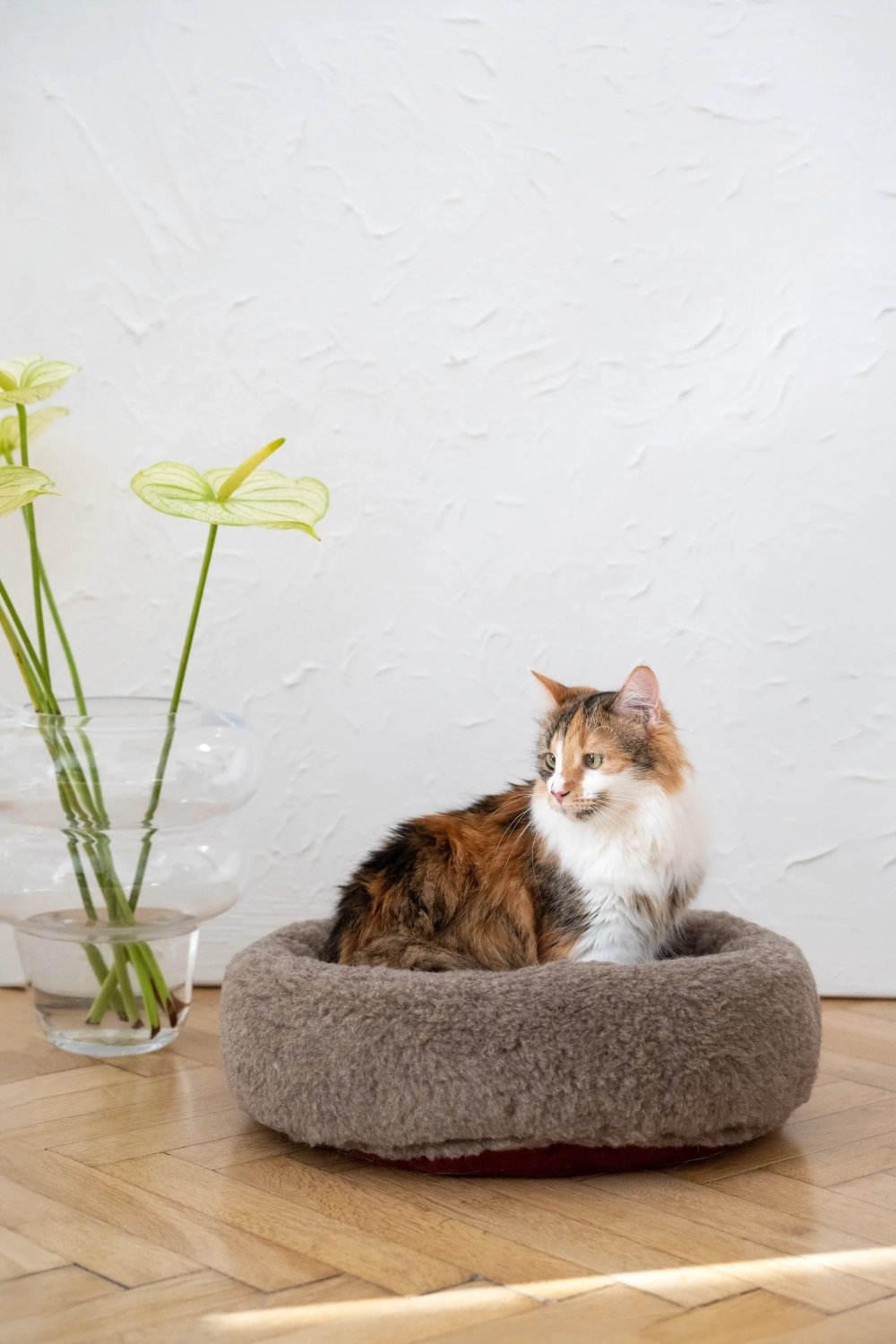 Round Natural Wool Pet Bed - Beige - Mio NEGOZIO 🌹💐Mellow Pet StoreMellow Pet Store