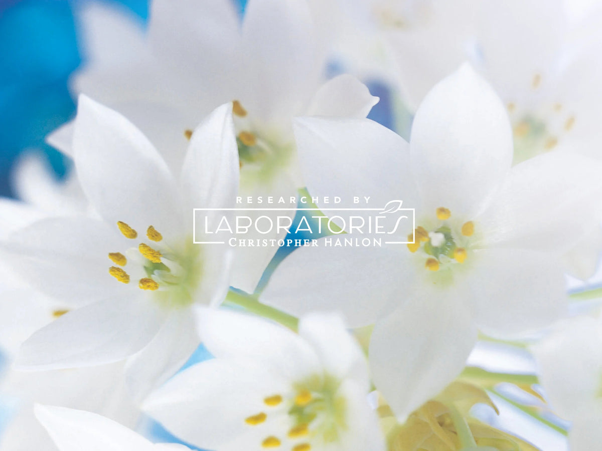 GOAT MILK, LEMON MYRTLE + LIME | HAIR + BODY LUXURY SHAMPOO-3