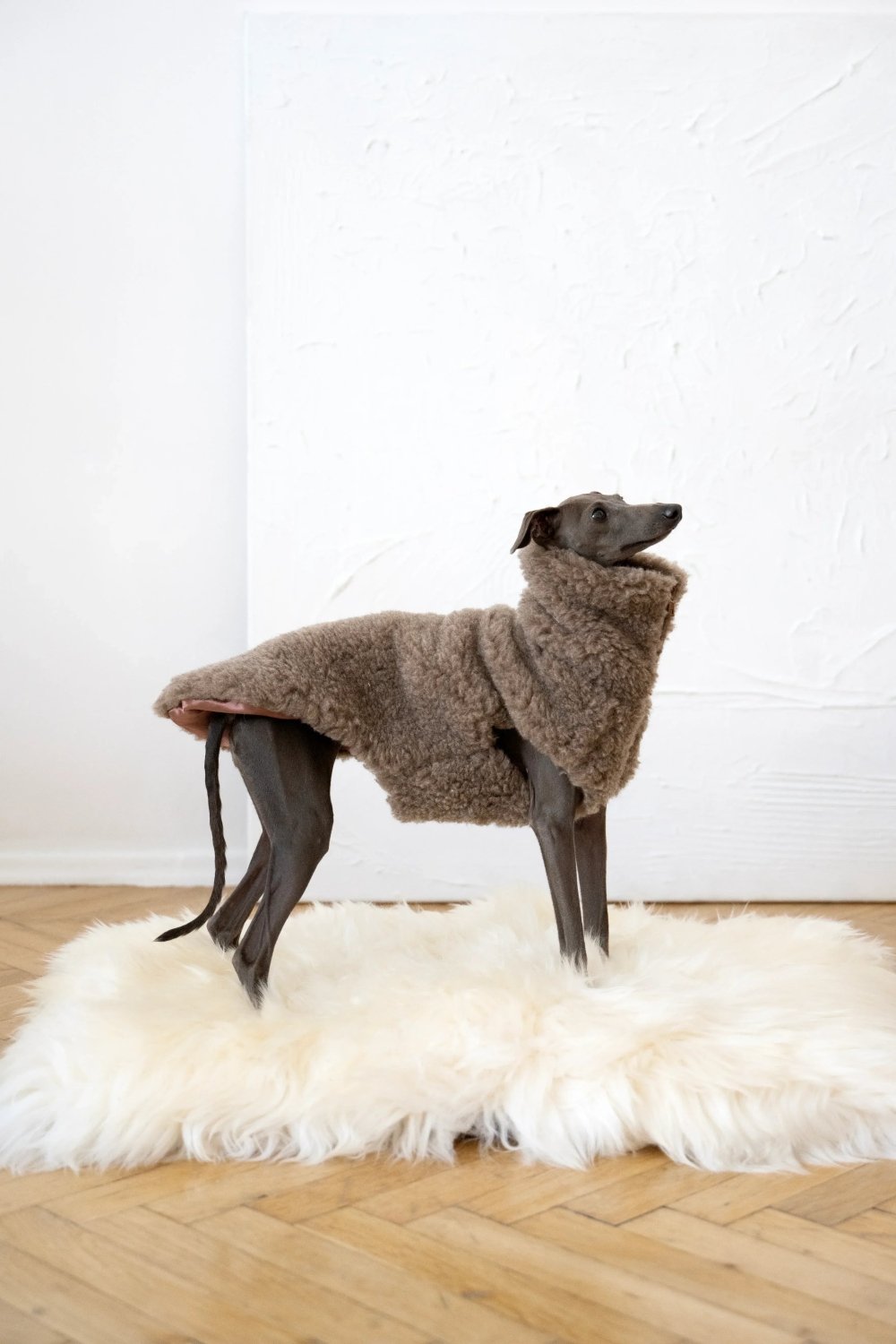 Square or Rectangular Natural Sheepskin Pet Mat - White - Mio NEGOZIO 🌹💐Mellow Pet StoreMellow Pet Store