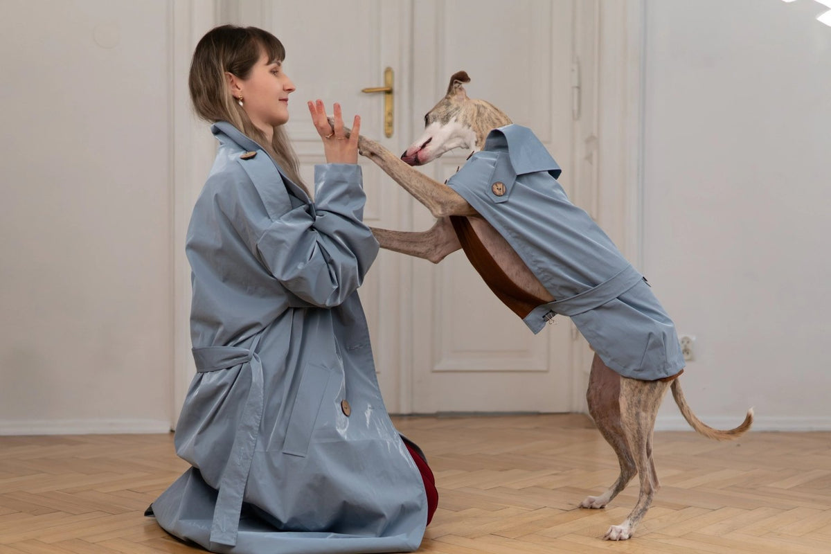 Trench Coat - Light Blue - Mio NEGOZIO 🌹💐ZUBEKZUBEK