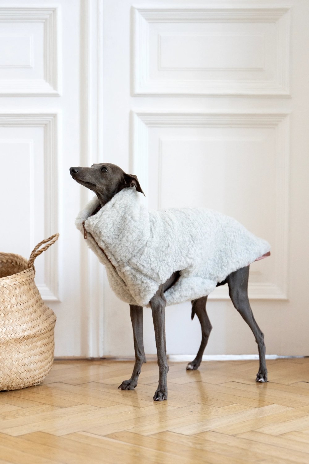 Woolen Dog Vest - Light Grey - Mio NEGOZIO 🌹💐Mellow Pet StoreMellow Pet Store