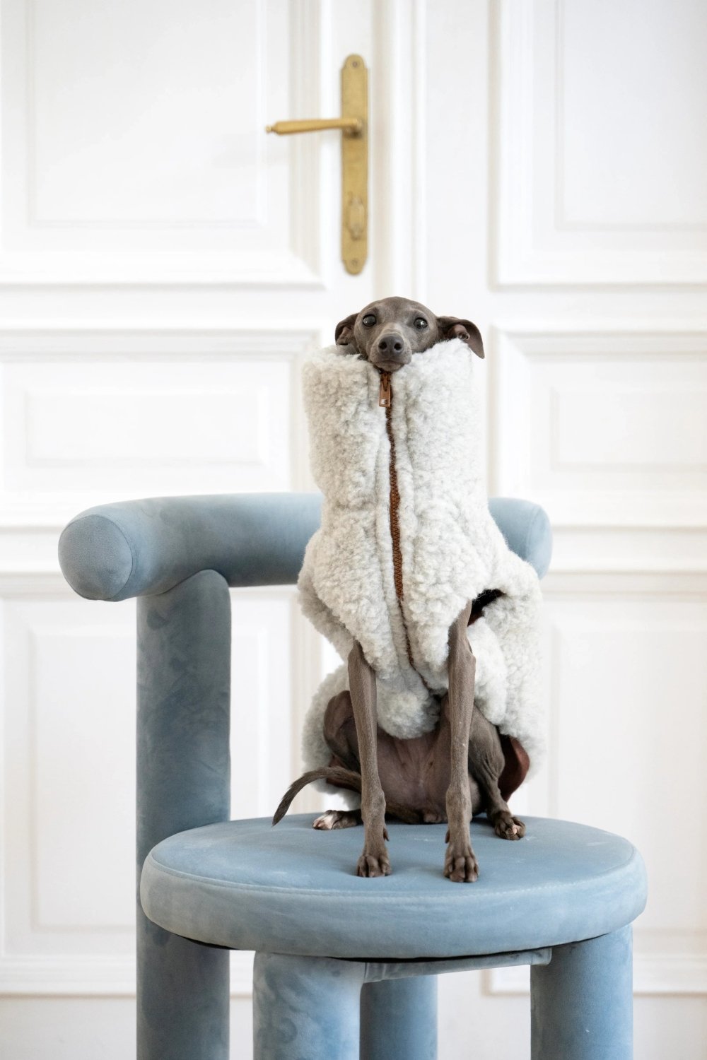 Woolen Dog Vest - Light Grey - Mio NEGOZIO 🌹💐Mellow Pet StoreMellow Pet Store